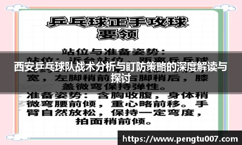 星空dian'j官网入口