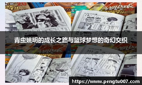 星空dian'j官网入口
