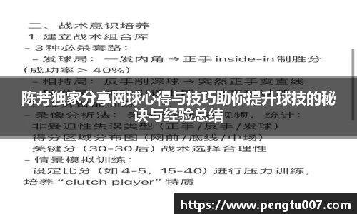 陈芳独家分享网球心得与技巧助你提升球技的秘诀与经验总结