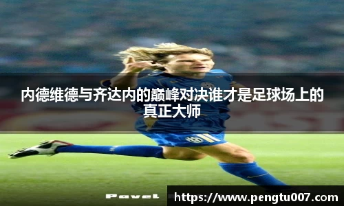 星空dian'j官网入口